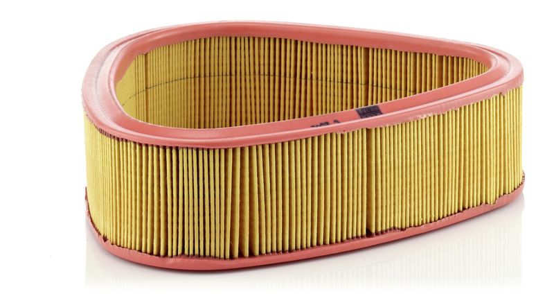 MANN-FILTER C 2541 Air Filter