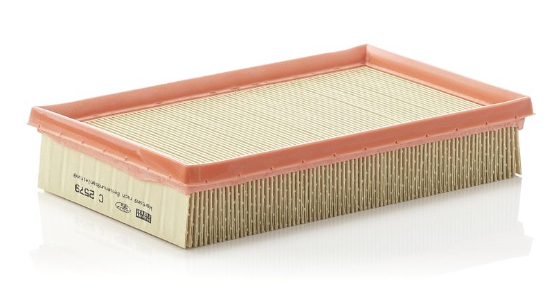 MANN-FILTER C 2579 Air Filter