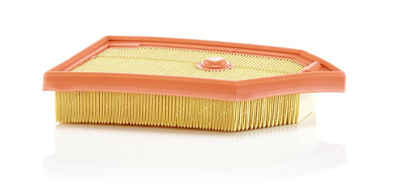 MANN-FILTER C 26 040 Air Filter