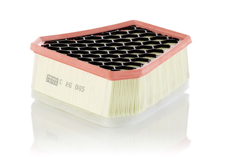 MANN-FILTER C 26 065 Air Filter