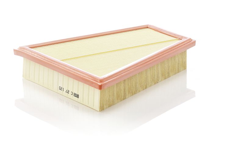 MANN-FILTER C 27 125 Air Filter