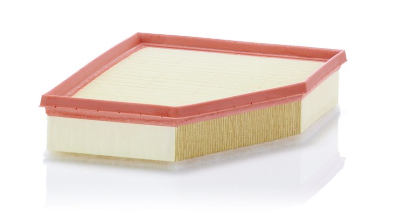 MANN-FILTER C 28 038 Air Filter