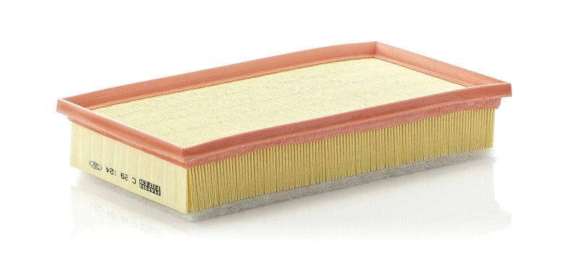MANN-FILTER C 29 124 Air Filter