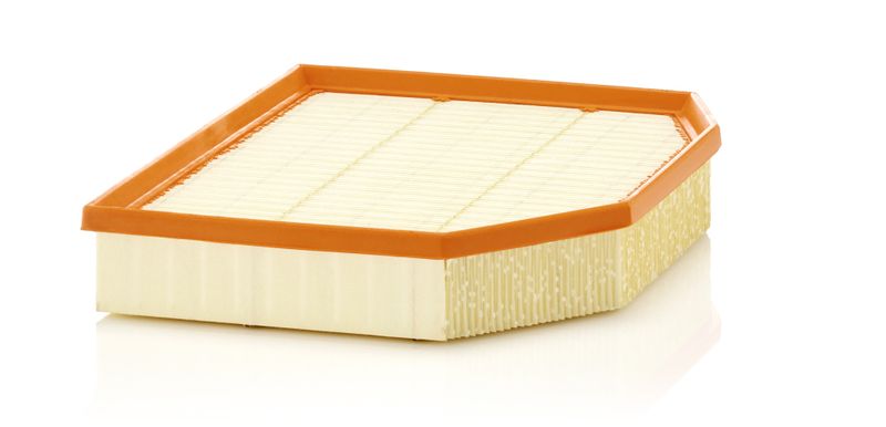 MANN-FILTER C 29 132 Air Filter