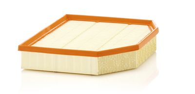 Air Filter MANN-FILTER C 29 132