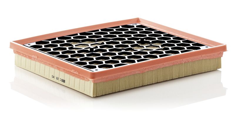 MANN-FILTER C 29 145 Air Filter