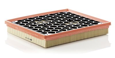 Air Filter MANN-FILTER C 29 145