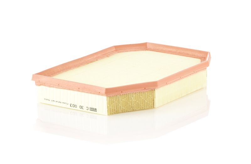 MANN-FILTER C 30 003 Air Filter