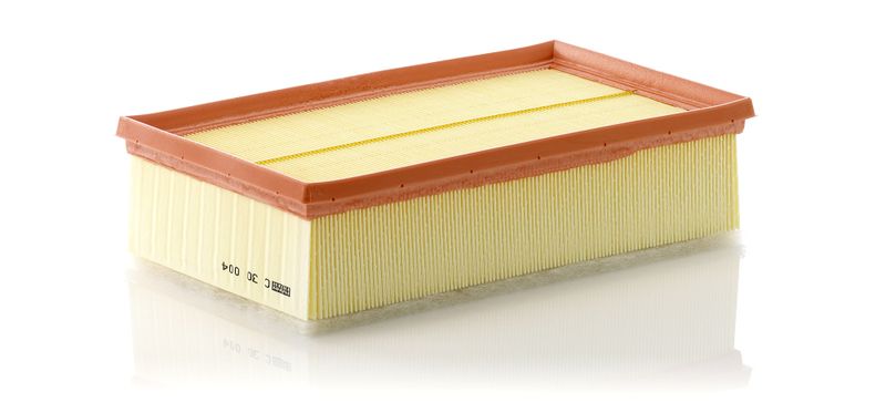 MANN-FILTER C 30 004 Air Filter