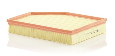 Air Filter MANN-FILTER C 30 196