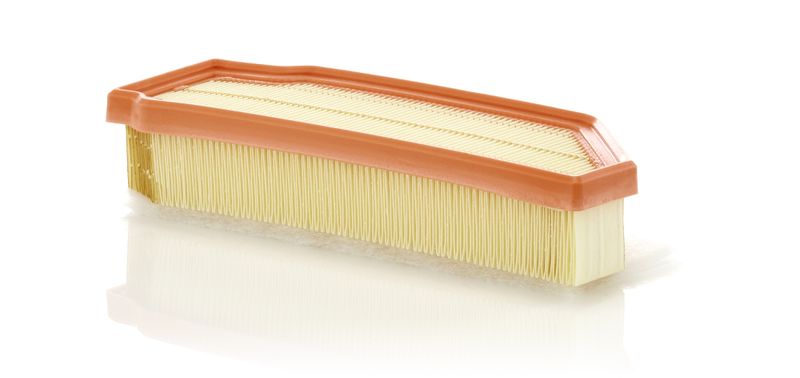 MANN-FILTER C 31 033 Air Filter