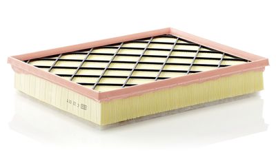 Air Filter MANN-FILTER C 33 001
