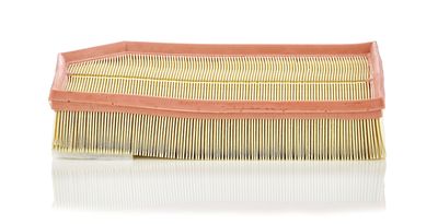 Air Filter MANN-FILTER C 33 194
