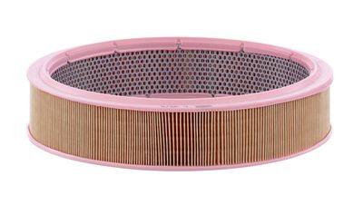 Air Filter MANN-FILTER C 3576