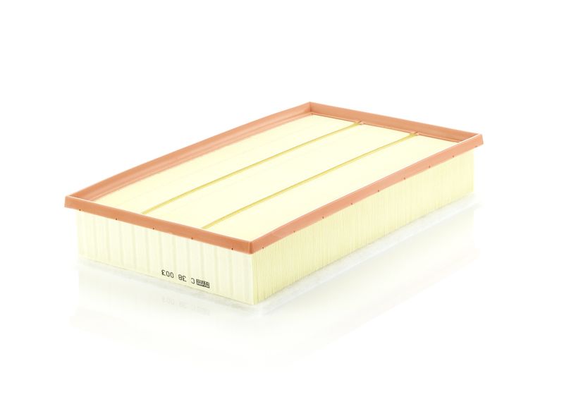 MANN-FILTER C 38 003 Air Filter