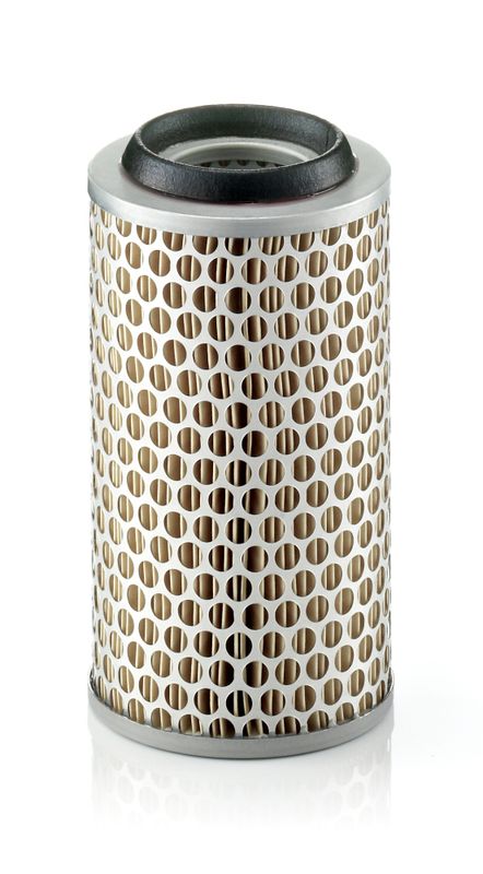 MANN-FILTER C 1043/1 Air Filter