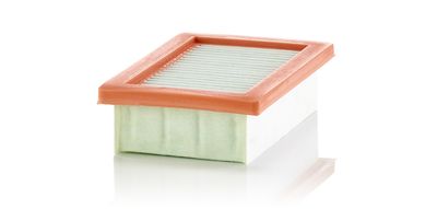 Air Filter MANN-FILTER C 22 033/1