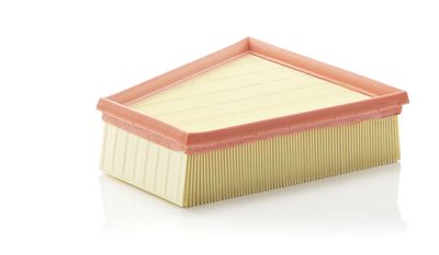 Air Filter MANN-FILTER C 2295/2