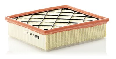 Air Filter MANN-FILTER C 24 137/1