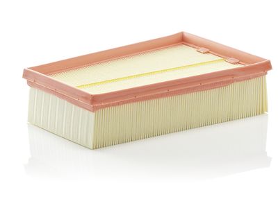 Air Filter MANN-FILTER C 2433/2