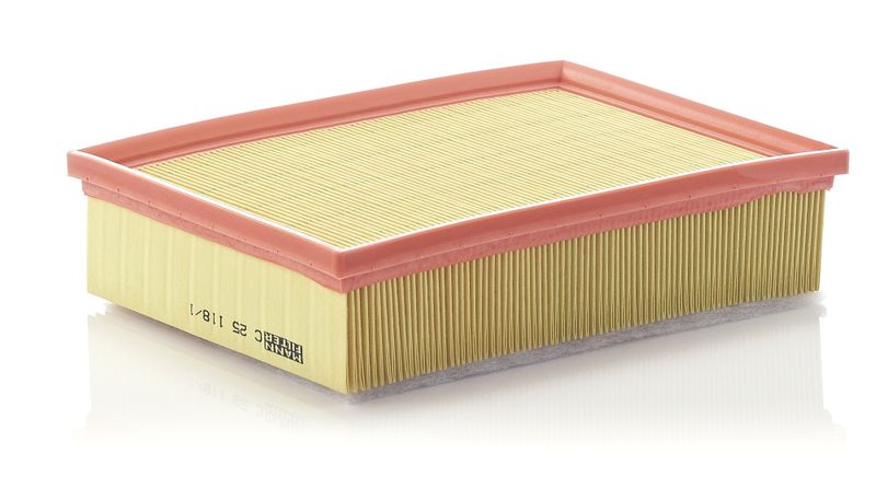 MANN-FILTER C 25 118/1 Air Filter