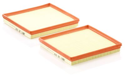 Air Filter MANN-FILTER C 26 009-2