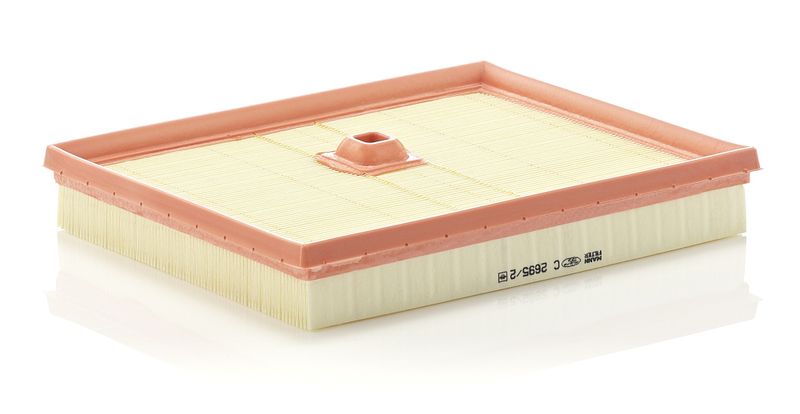 MANN-FILTER C 2695/2 Air Filter