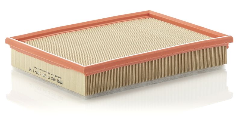 MANN-FILTER C 29 122/1 Air Filter