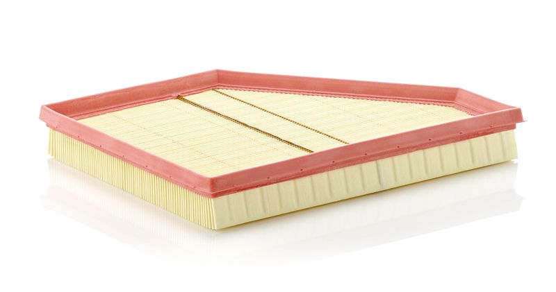 MANN-FILTER C 3090/1 Air Filter