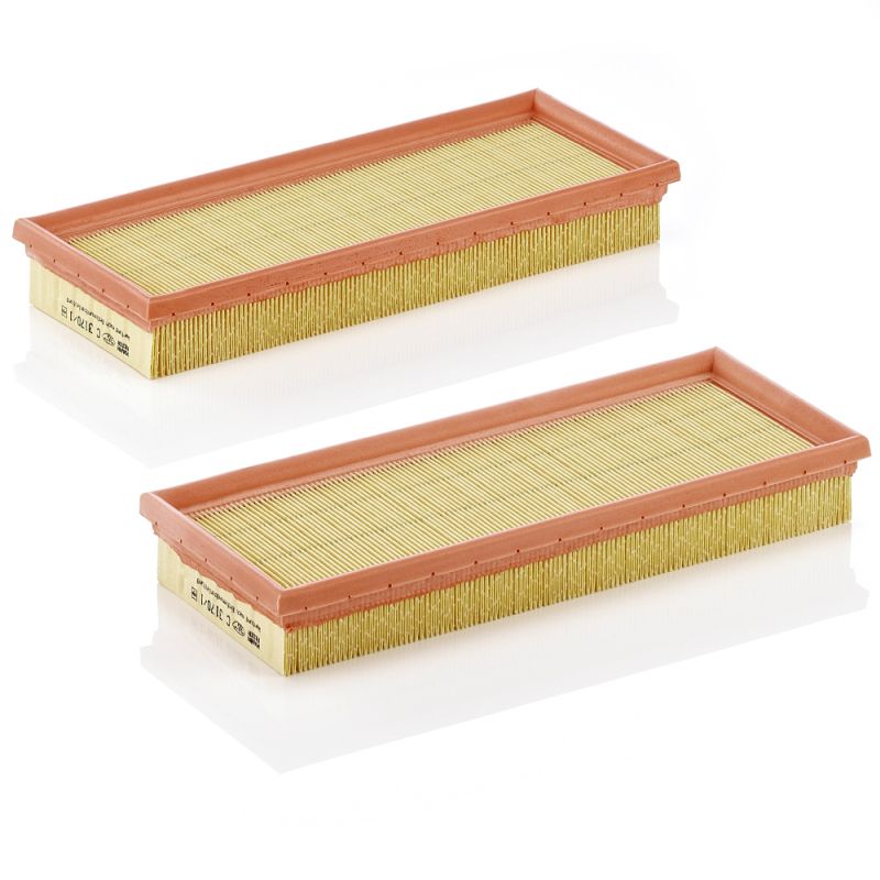 MANN-FILTER C 3170/1-2 Air Filter