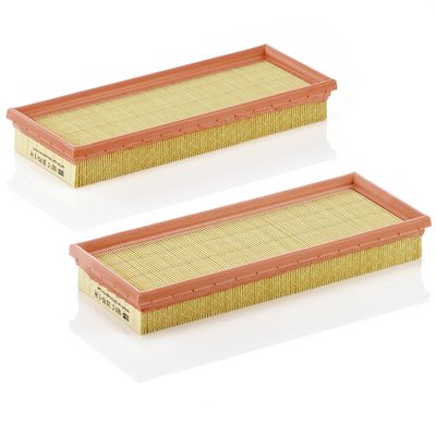 Air Filter MANN-FILTER C 3170/1-2