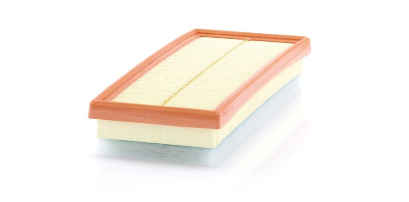 MANN-FILTER C 34 012 Air Filter