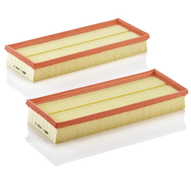 MANN-FILTER C 3698/3-2 Air Filter