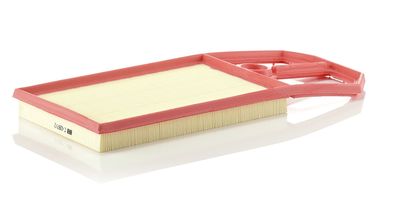 Air Filter MANN-FILTER C 4287/2