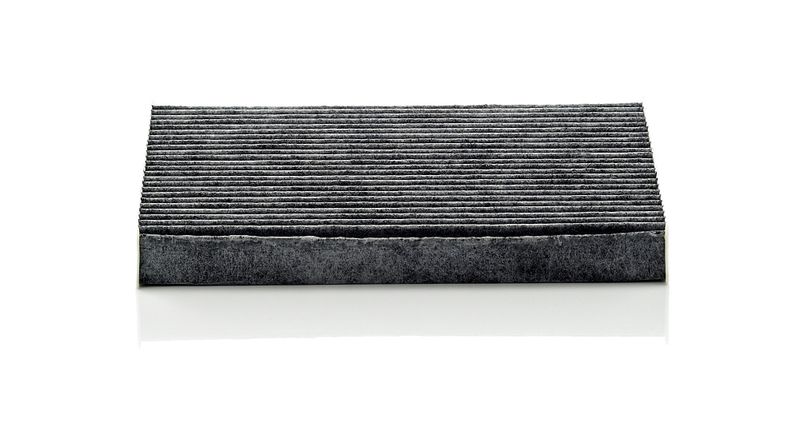 MANN-FILTER CUK 2043 Filter, cabin air