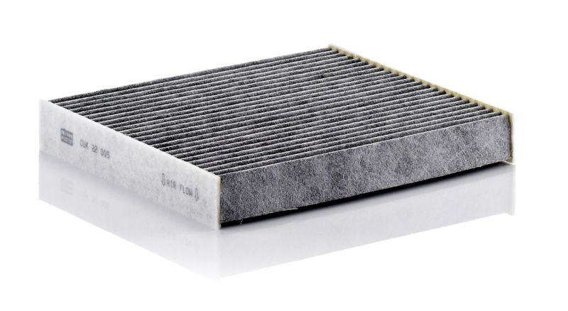 MANN-FILTER CUK 22 005 Filter, cabin air