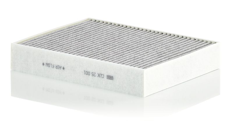 MANN-FILTER CUK 25 001 Filter, cabin air