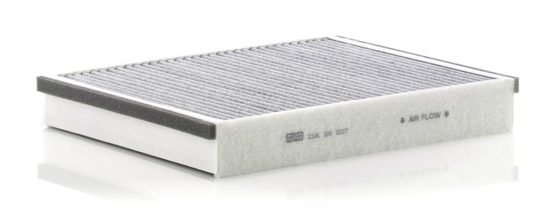 MANN-FILTER CUK 25 007 Filter, cabin air