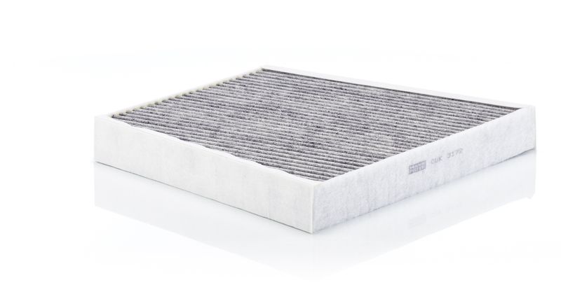 MANN-FILTER CUK 3172 Filter, cabin air