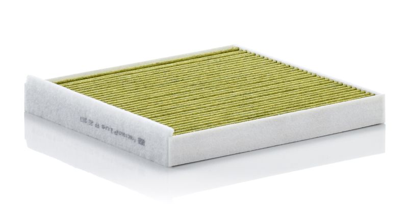 MANN-FILTER FP 22 013 Filter, cabin air