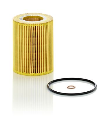 Oil Filter MANN-FILTER HU 925/4 x