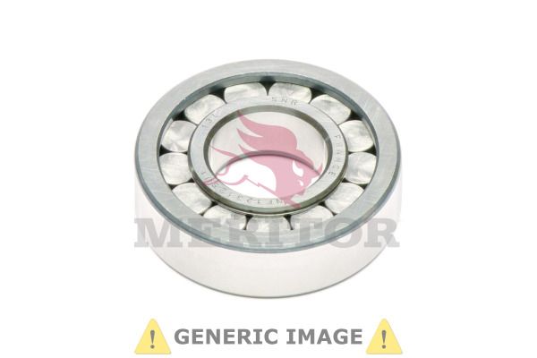 MERITOR A1228T2230.M Bearing Kit, differential