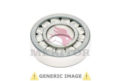 Bearing Kit, differential MERITOR A1228T2230.M