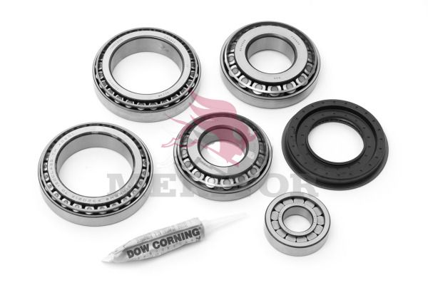 MERITOR E742.M Bearing Kit, differential