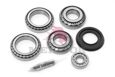 Bearing Kit, differential MERITOR E746.M