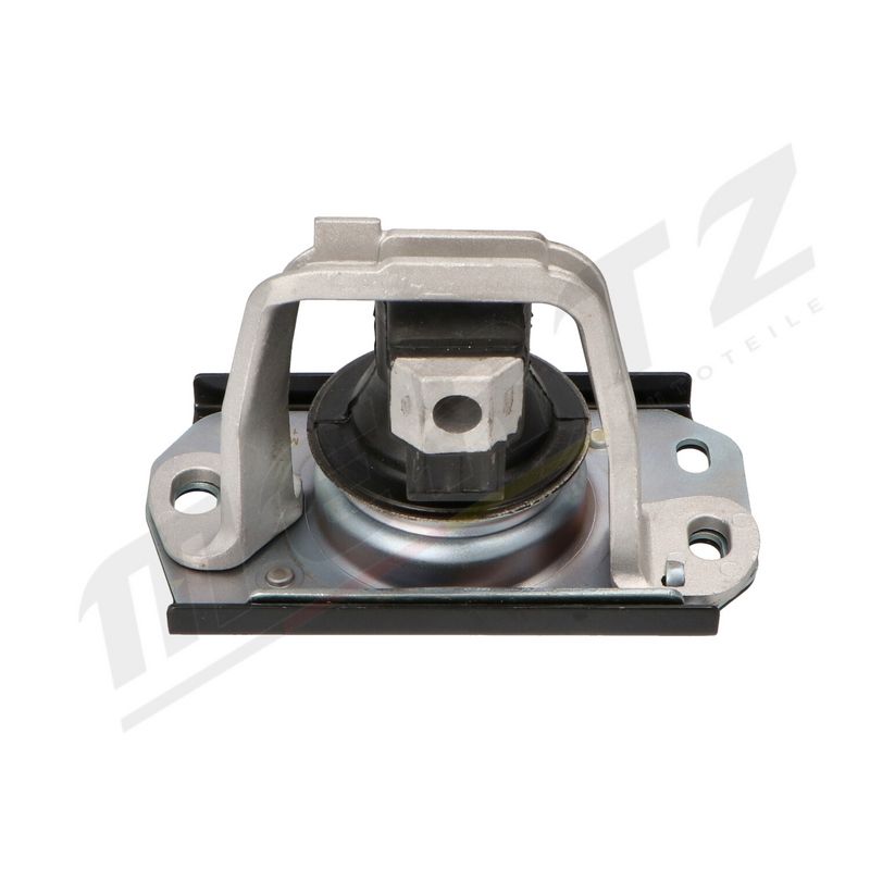 MERTZ M-S4369 Mounting, engine