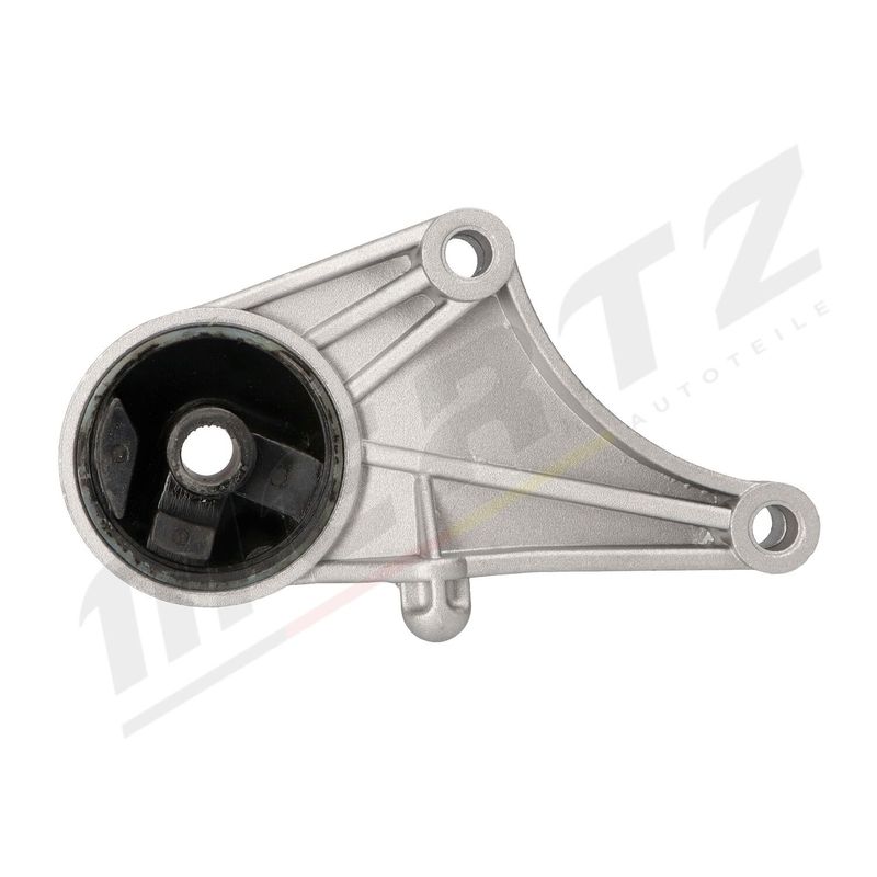 MERTZ M-S4456 Mounting, engine