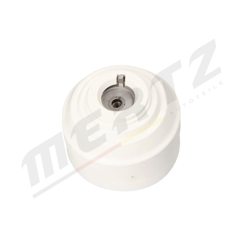 MERTZ M-S4775 Mounting, engine