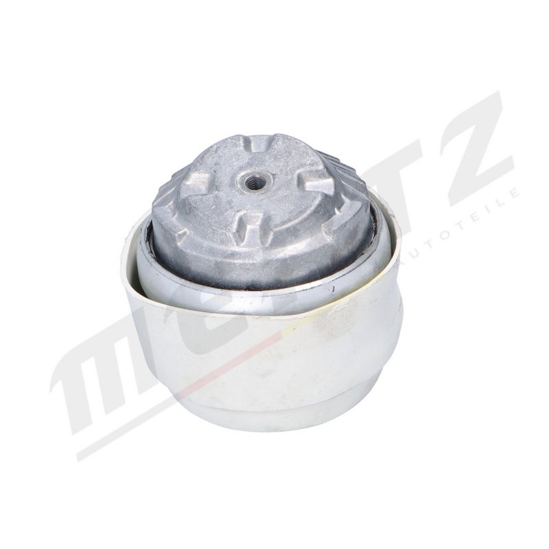 MERTZ M-S5184 Mounting, engine