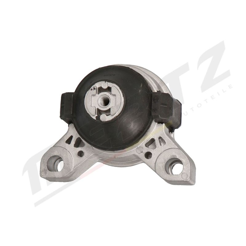 MERTZ M-S4426 Mounting, engine